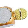 Беспроводной караоке микрофон с колонкой WSTER WS-1816 Bluetooth Золото (W9054)