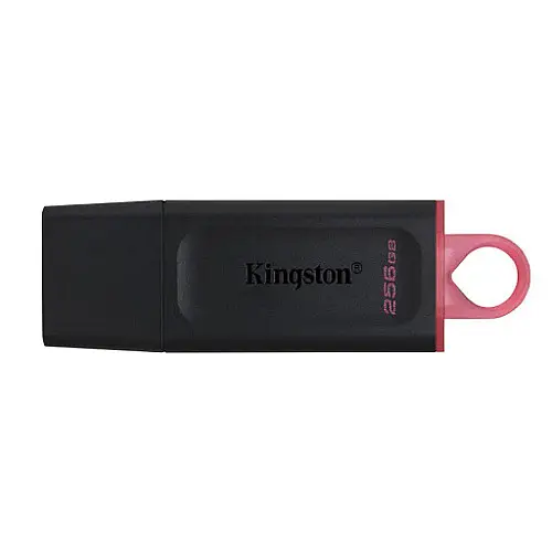 Флешка ЮСБ King DT Exodia USB Flash Drive 3.2 256Гб Чорний / Рожевий