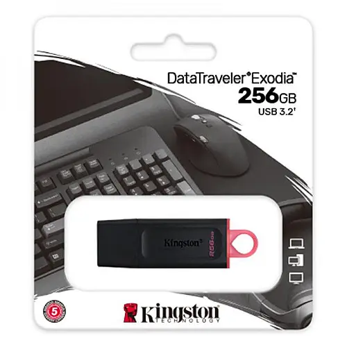 Флешка ЮСБ King DT Exodia USB Flash Drive 3.2 256Гб Чорний / Рожевий