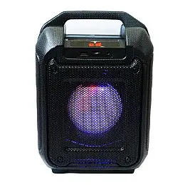 Портативна Bluetooth колонка RIAS B31 чемодан з караоке Black (4_00164)