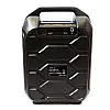 Портативна Bluetooth колонка RIAS B31 чемодан з караоке Black (4_00164)
