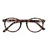 Очки для читання Sanico MQR 0113 EASY IRIS +3.00 Turtle