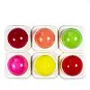Бальзам для губ зволожуючий No Brand Pola Aylr Lip Balm 6 шт Фруктовий (LB-106)