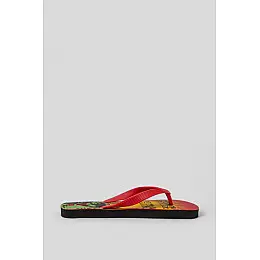 Вьетнамки мужские AGER Разноцветный 42-43 (244R33)