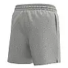 Мужські плавки MAN's SET Anatomic Shorts 2.0 Swimming XL Світло-сірий (1154-2915)