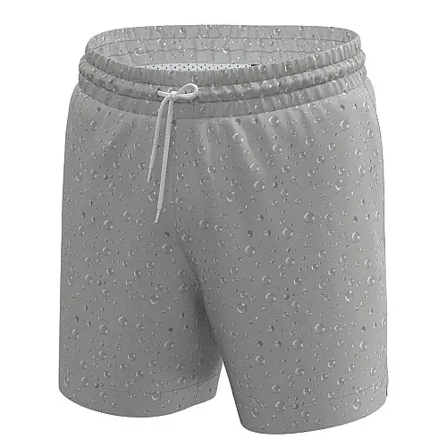 Мужські пляжні шорти MAN's SET Anatomic Shorts 2.0 Swimming L Світло-сірий (1153-2915)