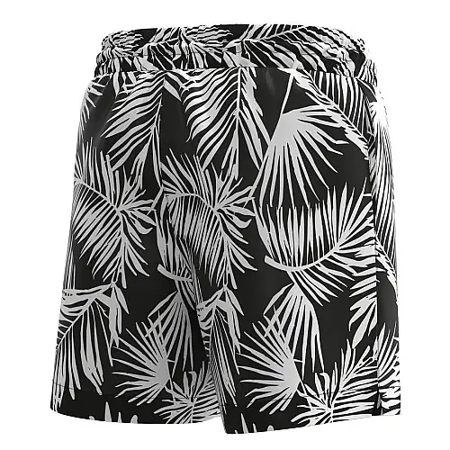 Мужські пляжні шорти MAN's SET Anatomic Shorts 2.0 Swimming S Чорний (1151-2919)