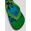 Вьетнамки мужские AGER Разноцветный 41-42 (244R337)