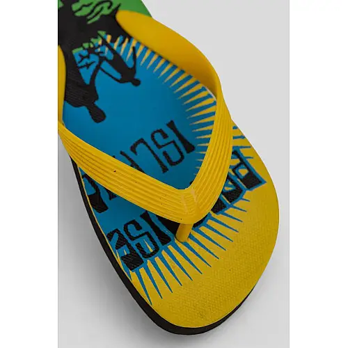 Вьетнамки мужские AGER Разноцветный 40-41 (244R337)