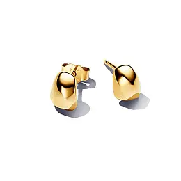 Сережки No Brand Природні форми 263298C00