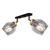 Светильник потолочний MSK Electric Enigma 2 лампи PL 20241-2 BK 619288