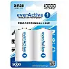 Аккумулятор everActive D/HR20 10000mAh BL 2шт