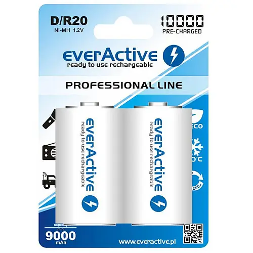 Аккумулятор everActive D/HR20 10000mAh BL 2шт