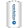 Аккумулятор everActive D/HR20 10000mAh BL 2шт