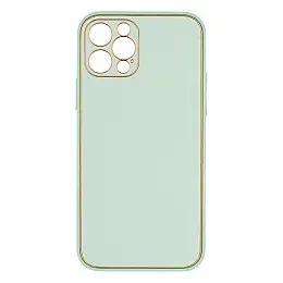 Чехол Leather Case Gold with Frame для Apple iPhone 12 6,1 дюйма М'ятний