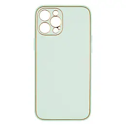 Чехол Leather Case Gold with Frame для Apple iPhone 12 Pro Max М'ятний