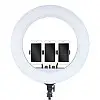 Кольцевая светодиодная LED лампа RIAS RL-18 45см на 3 держателя с пультом ДУ и чехлом (4_00547)