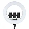 Кольцевая светодиодная LED лампа RIAS RL-21 54см на 3 держателя с пультом ДУ и чехлом (4_00543)