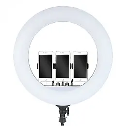 Кольцевая светодиодная LED лампа RIAS RL-21 54см на 3 держателя с пультом ДУ и чехлом (4_00543)
