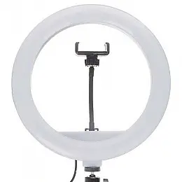 Кольцевая светодиодная LED лампа RIAS JY-300A 30см с держателем USB управление на проводе (2_009797)
