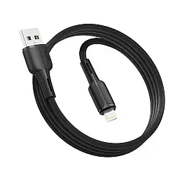 Кабель для зарядки та обміну даними USB Ridea RC-CO10 CommonPro 12W 5V/2.4A USB-Lightning 1 м Чорний