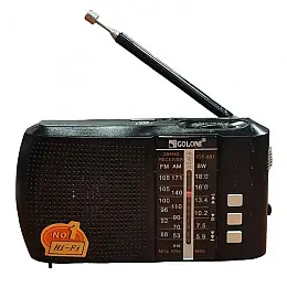 Акумуляторний радіоприймач Golon ICF-8 Чорний 2104618441