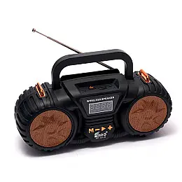 Портативное FM-радио EPE FP-131-S с USB/TF/MP3 Черный c золотом KNS18-97