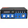 Усилювач звуку UKC SN-666BT Bluetooth+FM+SD+USB Караоке 2-канальний 2x300W (4_00582)