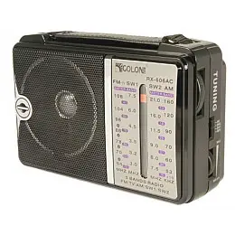 Портативный радио приемник от сети GOLON RX-606AC 220В Чёрный