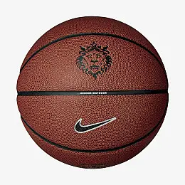 Мяч баскетбольный Nike All Court 8P 2.0 L James Deflated 7 Разноцветный