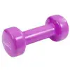 Гантель PowerPlay 4125 Achilles 0.5 кг Розовый