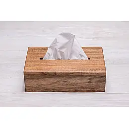 Салфетниця з горіха з кришкою ecoWalnut 236х136х75 мм