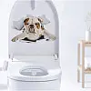 Наклейка 3D UKC в туалет UK13 30x30 см