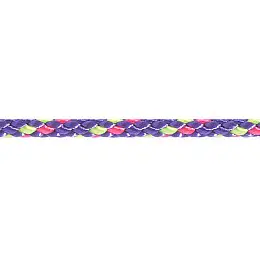 Шнур Beal 2 мм x 120 м Фіолетовий (1046-BC02.120.V)