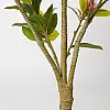 Штучна рослина Engard Magnolia, 150 см (DW-18)