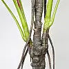 Штучна рослина Engard Monstera, 165 см (DW-22)