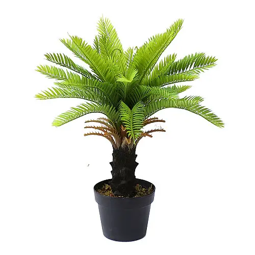 Штучна рослина Engard Cycas Palm, 60 см (DW-24)