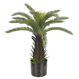 Штучна рослина Engard Fan Palm, 60 см (DW-25)