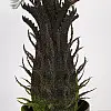 Штучна рослина Engard Fan Palm, 60 см (DW-25)