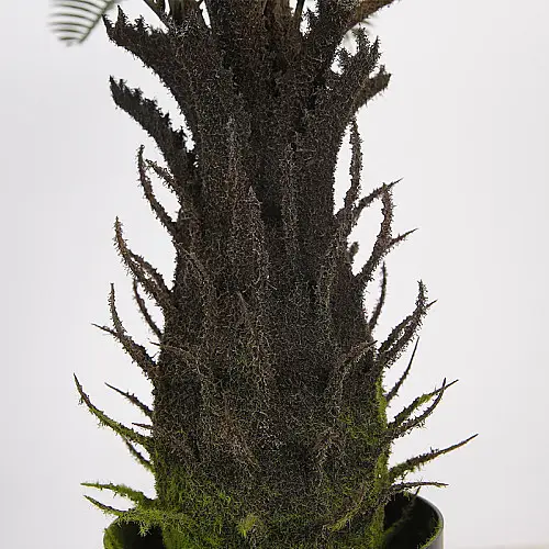 Штучна рослина Engard Fan Palm, 60 см (DW-25)