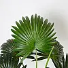 Штучна рослина Engard Fan Palm, 95 см (DW-26)