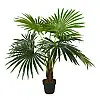Штучна рослина Engard Fan Palm, 120 см (DW-27)
