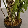 Штучна рослина Engard Lacy Tree, 150 см (DW-29)