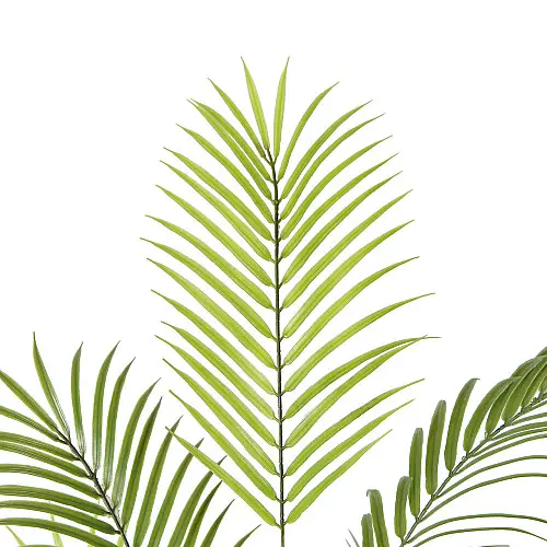 Штучна рослина Engard Areca Palm, 150 см (DW-30)