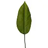 Штучні листя Engard Spathiphyllum 65 см (DW-33)