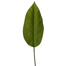 Штучні листя Engard Spathiphyllum 65 см (DW-33)