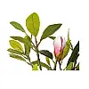 Штучна рослина Engard Magnolia 70 см (DW-17)