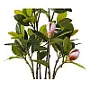 Штучна рослина Engard Magnolia 70 см (DW-17)