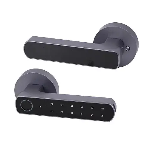 Умний дверний замок Atis Lock BT-100-T Grey