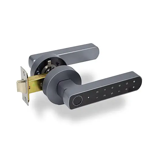 Умний дверний замок Atis Lock BT-100-T Grey